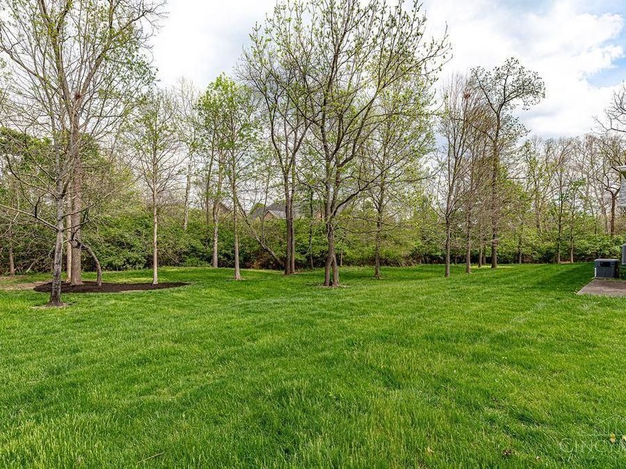 Property Image 56