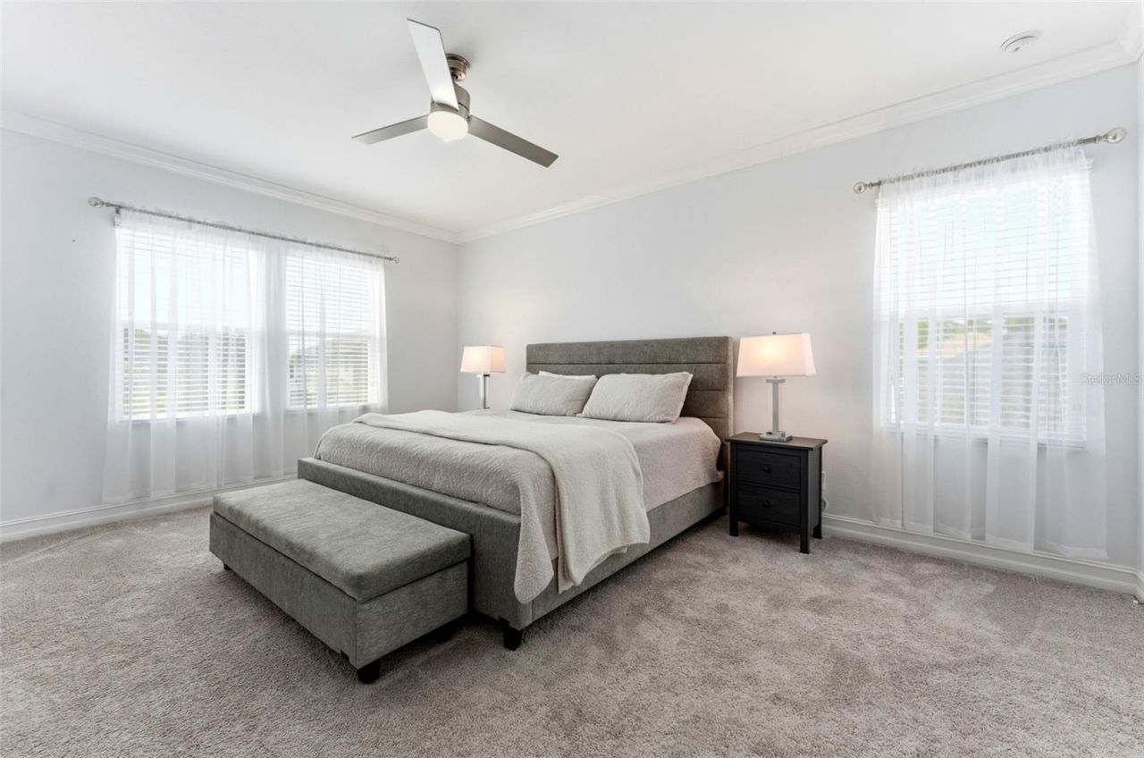 8012 Red Orchard Court, Tampa, FL 33635 Photo