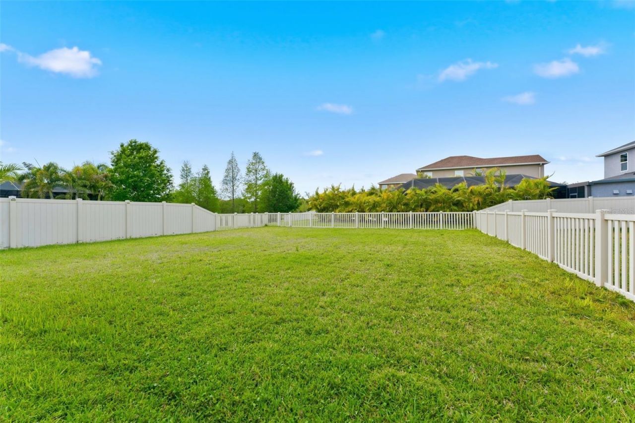 8012 Red Orchard Court, Tampa, FL 33635 Photo
