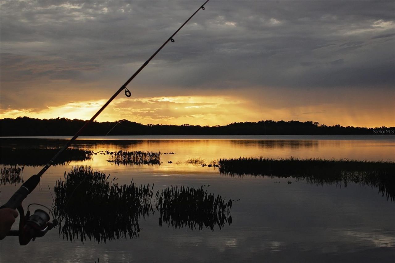 3481 Middlebrook Pl , Saint Cloud, FL 34773 Photo