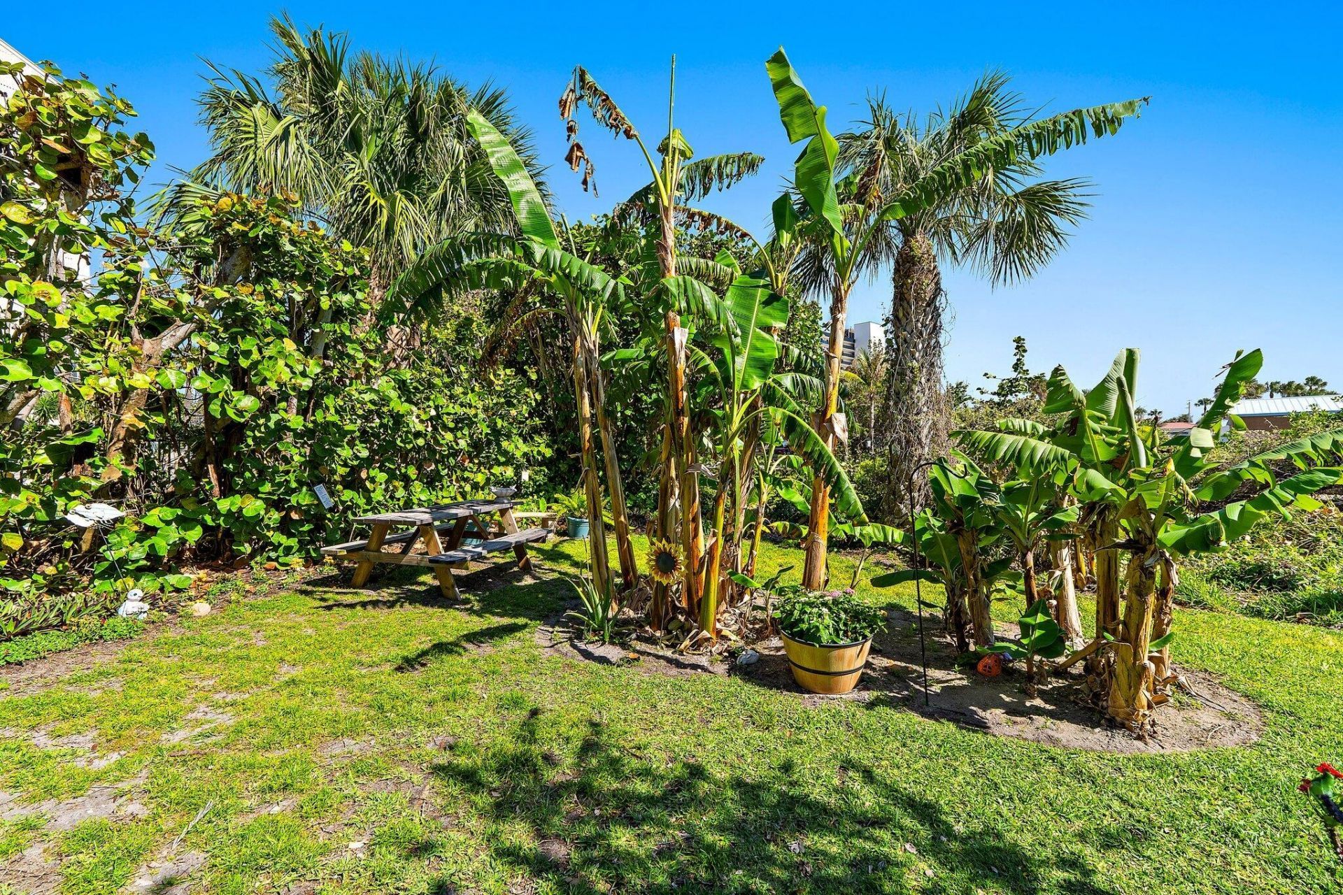 10310 S Ocean Drive, Unit 205, Jensen Beach, FL 34957 Photo