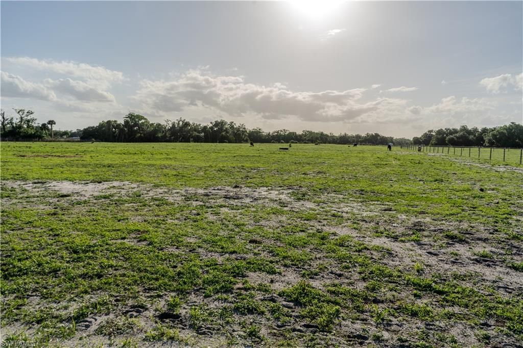 595 Norris Rd, Labelle, FL 33935 Photo