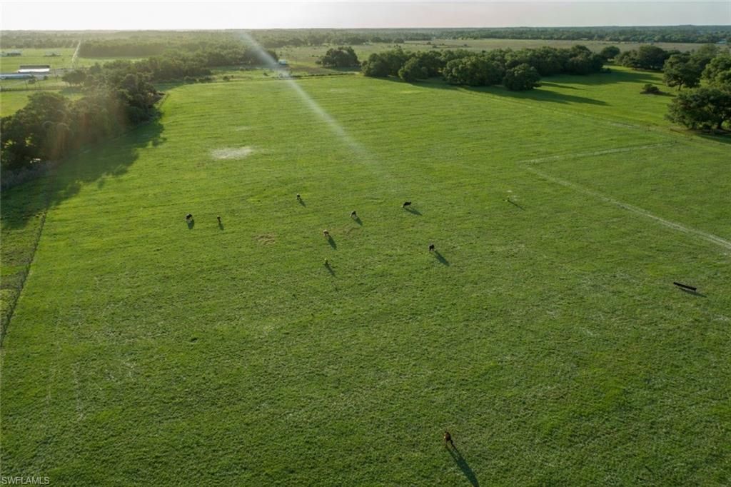 595 Norris Rd, Labelle, FL 33935 Photo