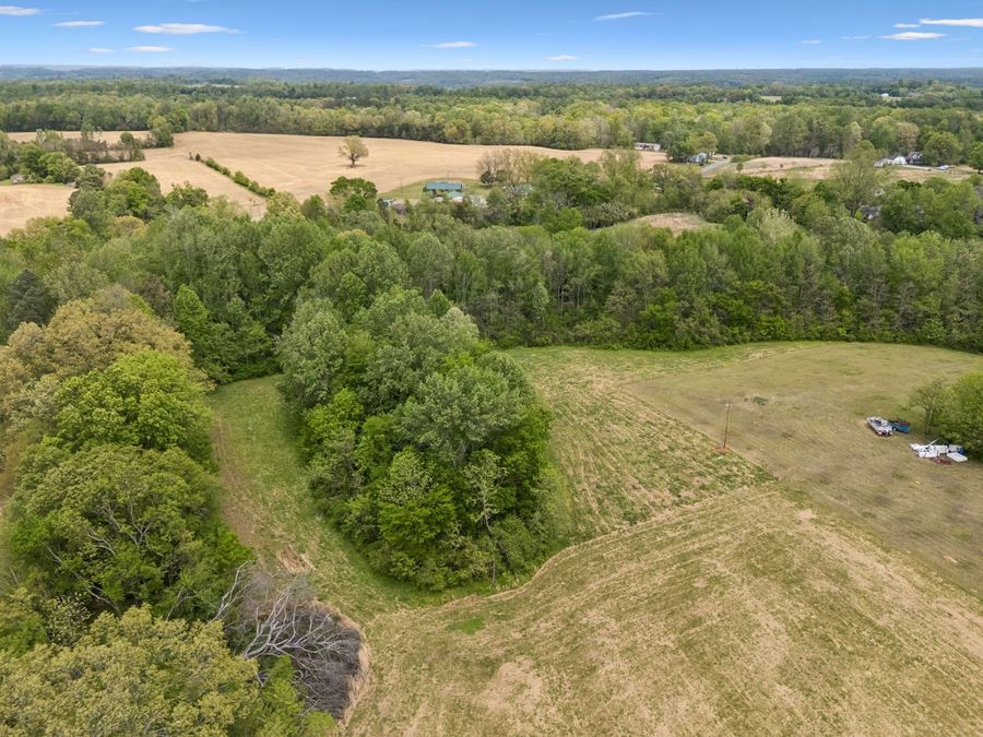 Property Image 11