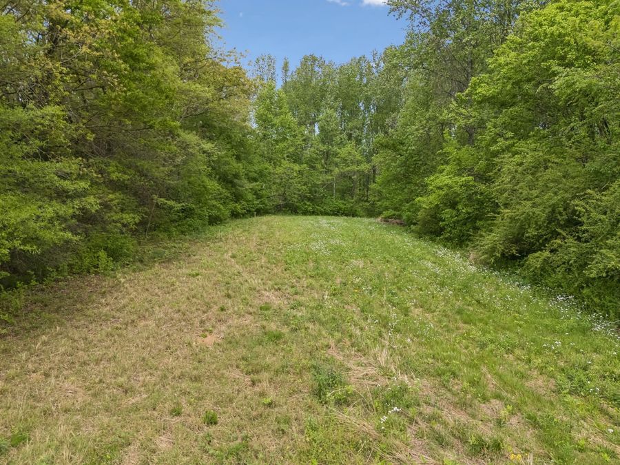 Property Image 38