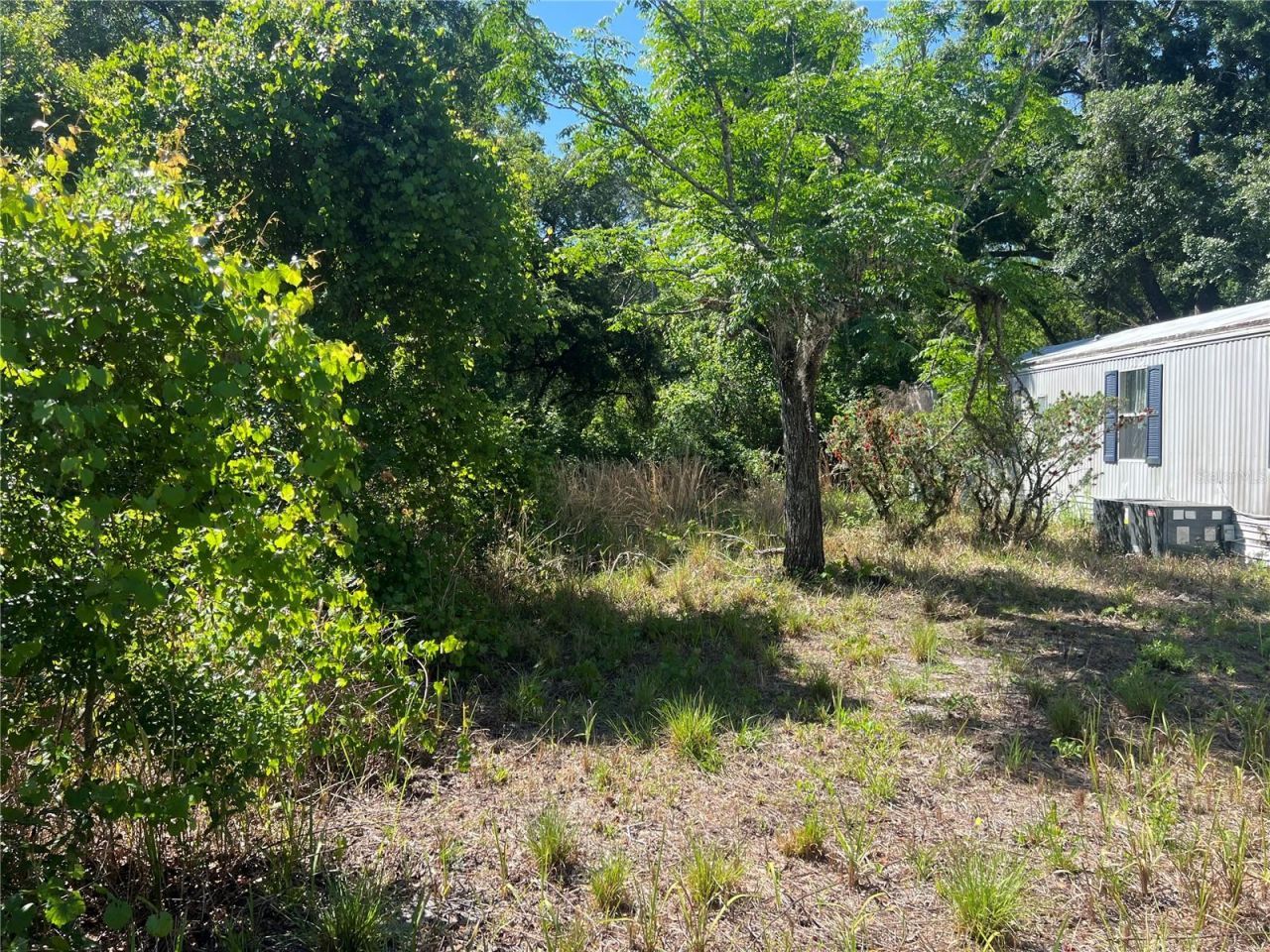 12540 Gurnee Avenue , New Port Richey, FL 34654 Photo