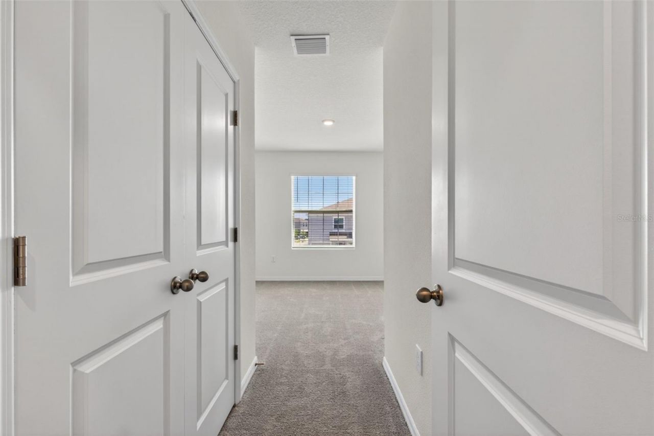 33105 Major Oak Drive, Wesley Chapel, FL 33545 Photo