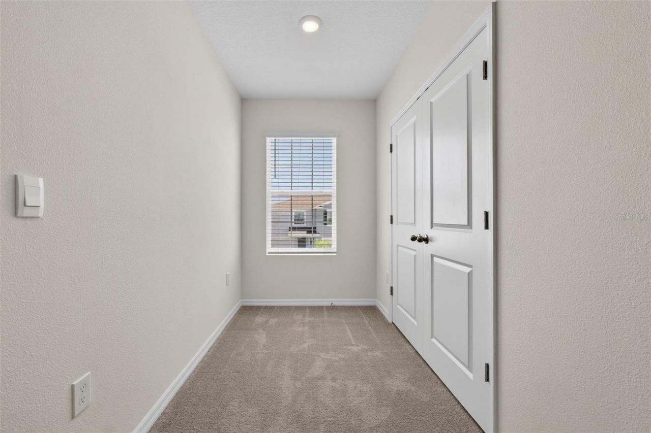 33105 Major Oak Drive, Wesley Chapel, FL 33545 Photo