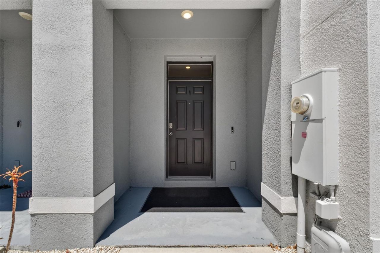 33105 Major Oak Drive, Wesley Chapel, FL 33545 Photo