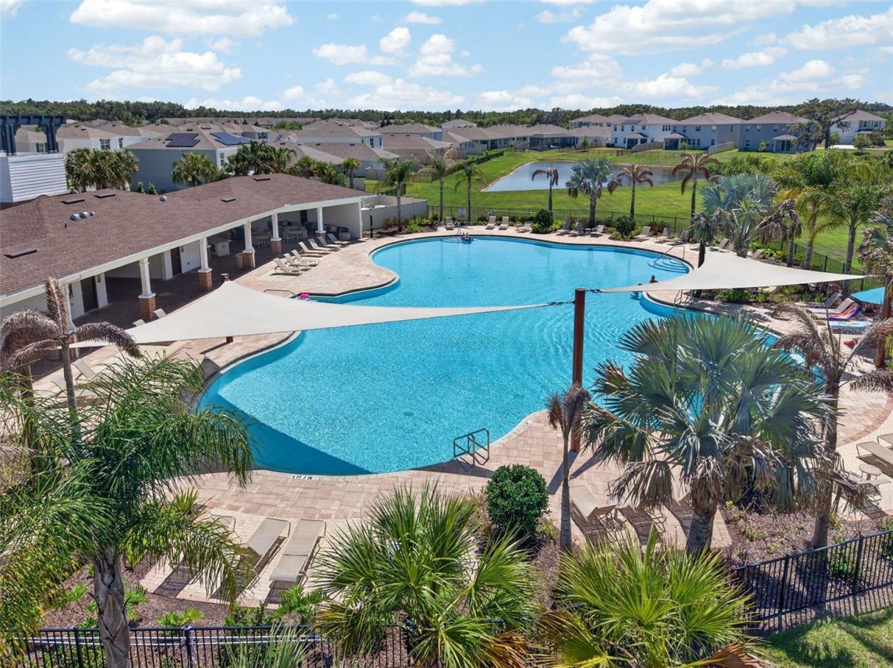33105 Major Oak Drive, Wesley Chapel, FL 33545 Photo