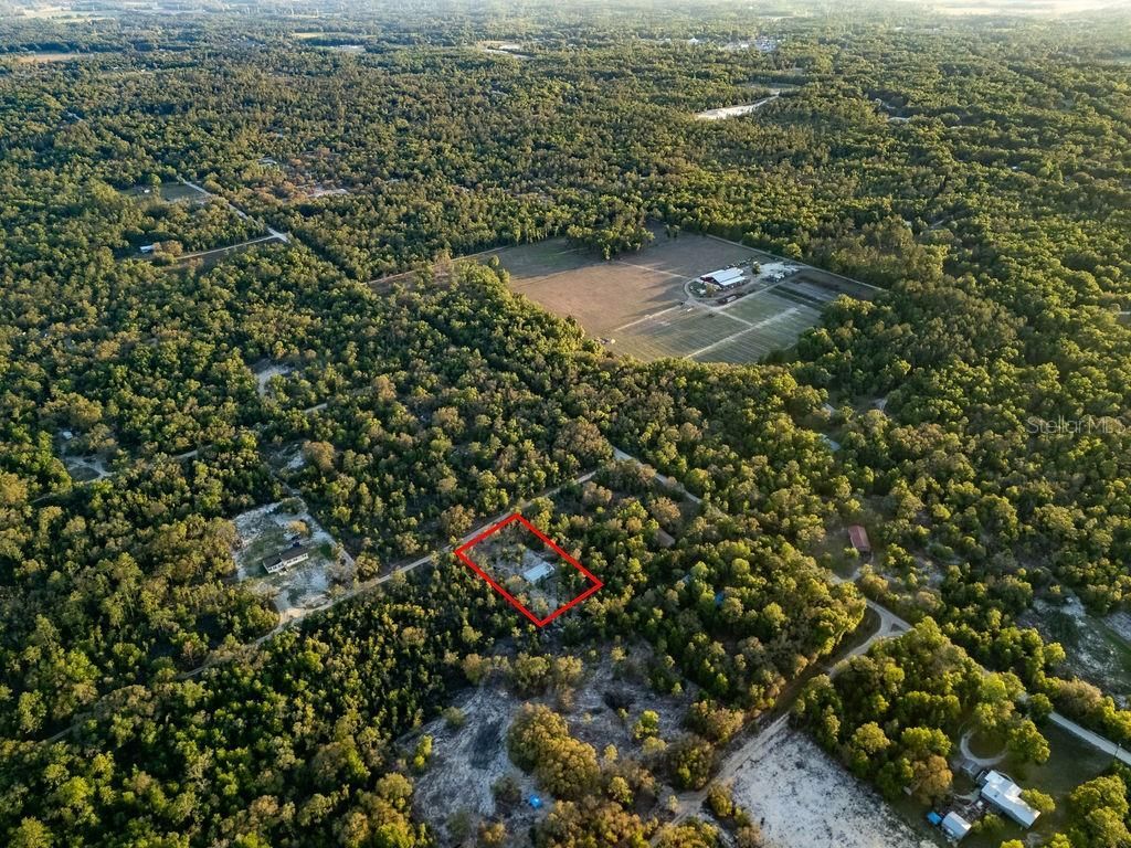 9591 NE 87th Place , Bronson, FL 32621 Photo