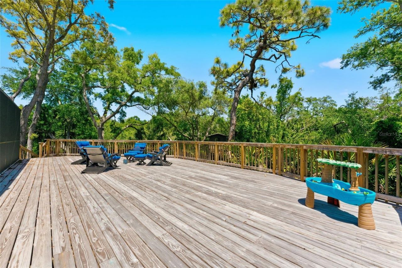 1360 Sago Court, Dunedin, FL 34698 Photo