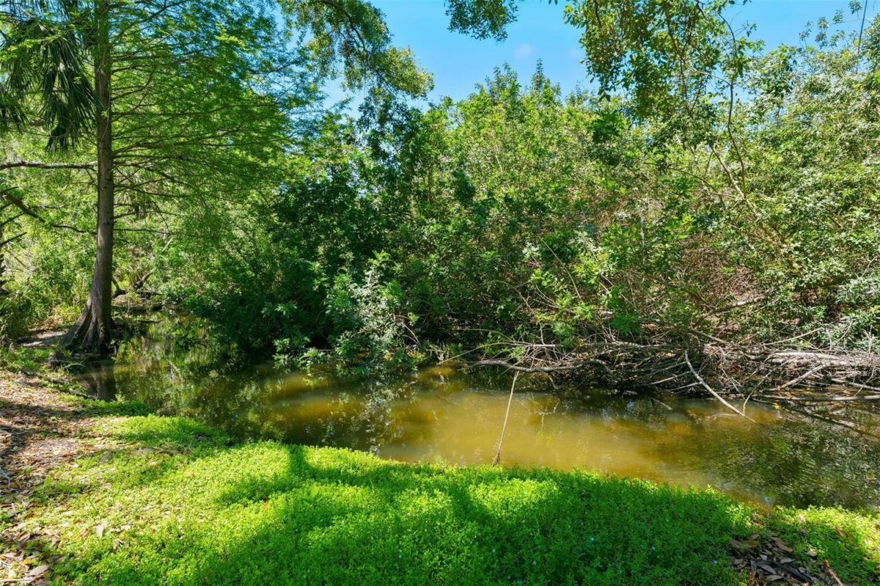 1360 Sago Court, Dunedin, FL 34698 Photo