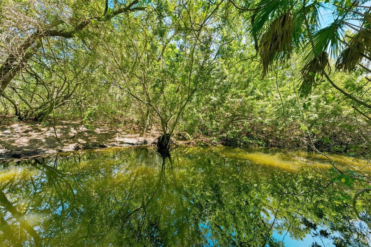 1360 Sago Court, Dunedin, FL 34698 Photo