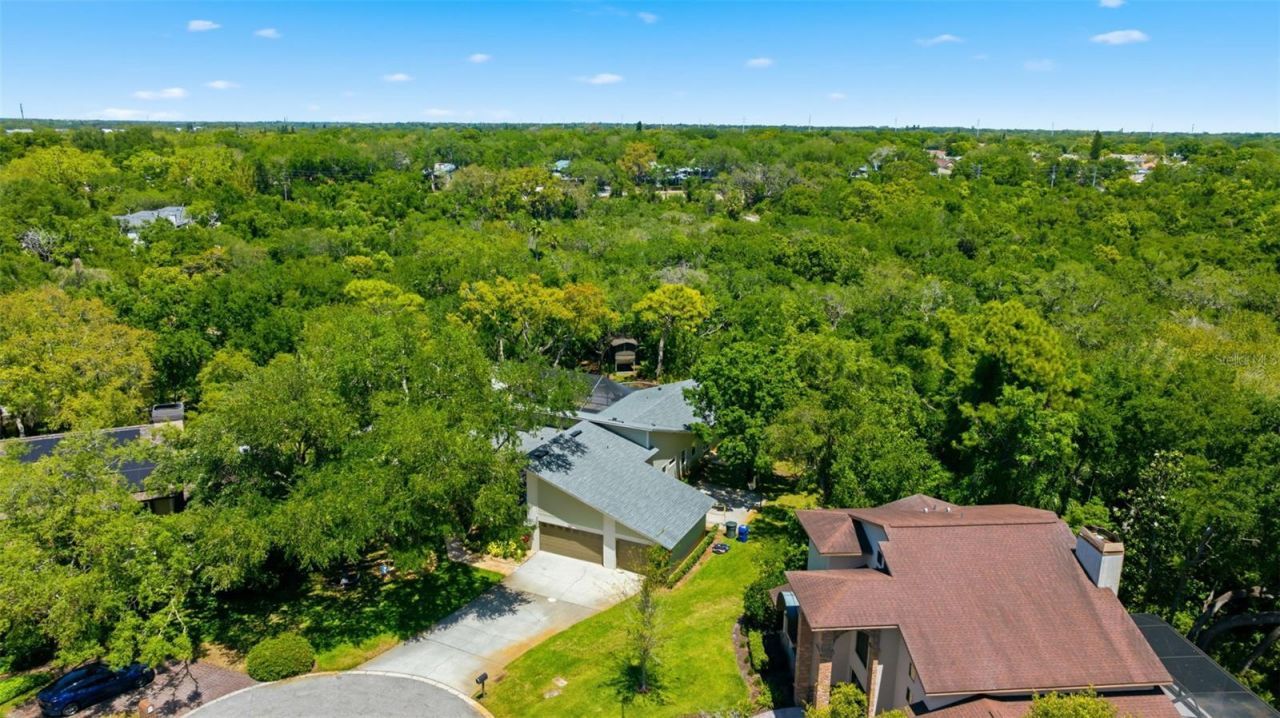 1360 Sago Court, Dunedin, FL 34698 Photo