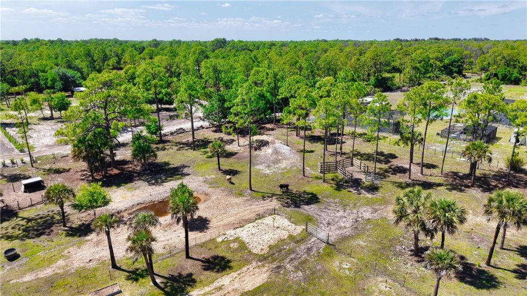 13910 87th Street, Fellsmere, FL 32948 Photo