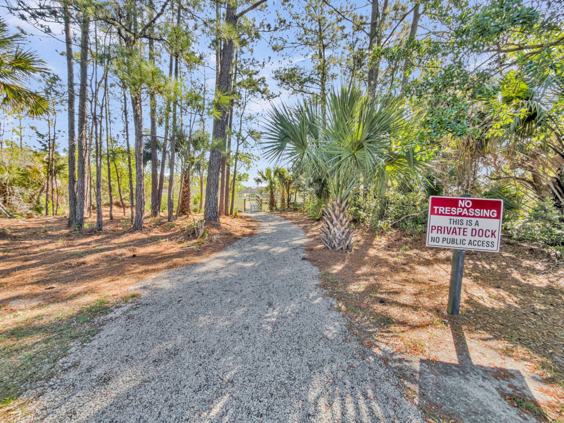 1313 Blue Sky Lane Photo 26