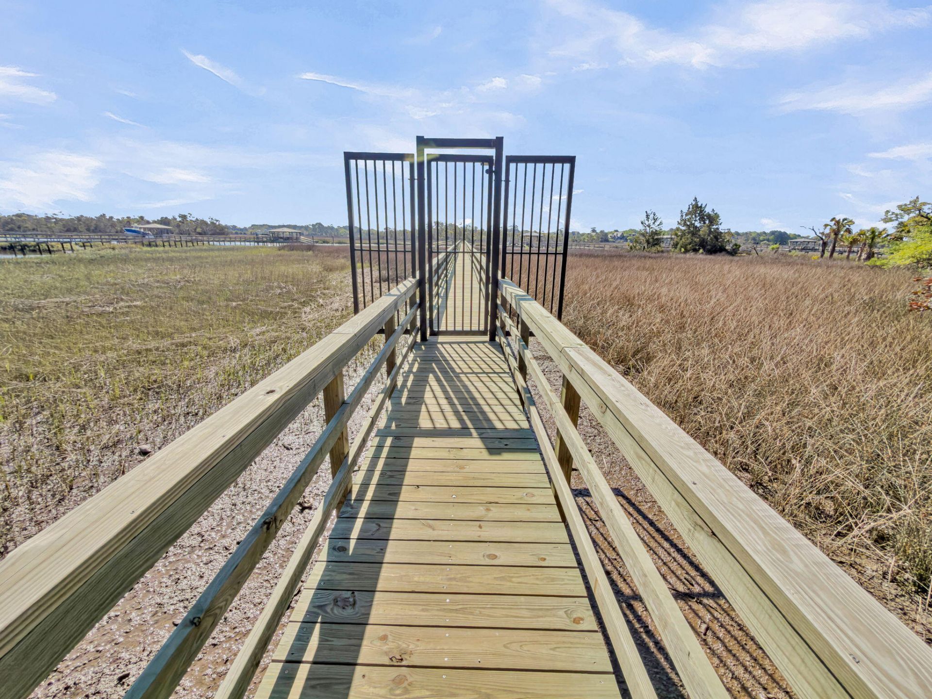 1313 Blue Sky Lane Photo 28