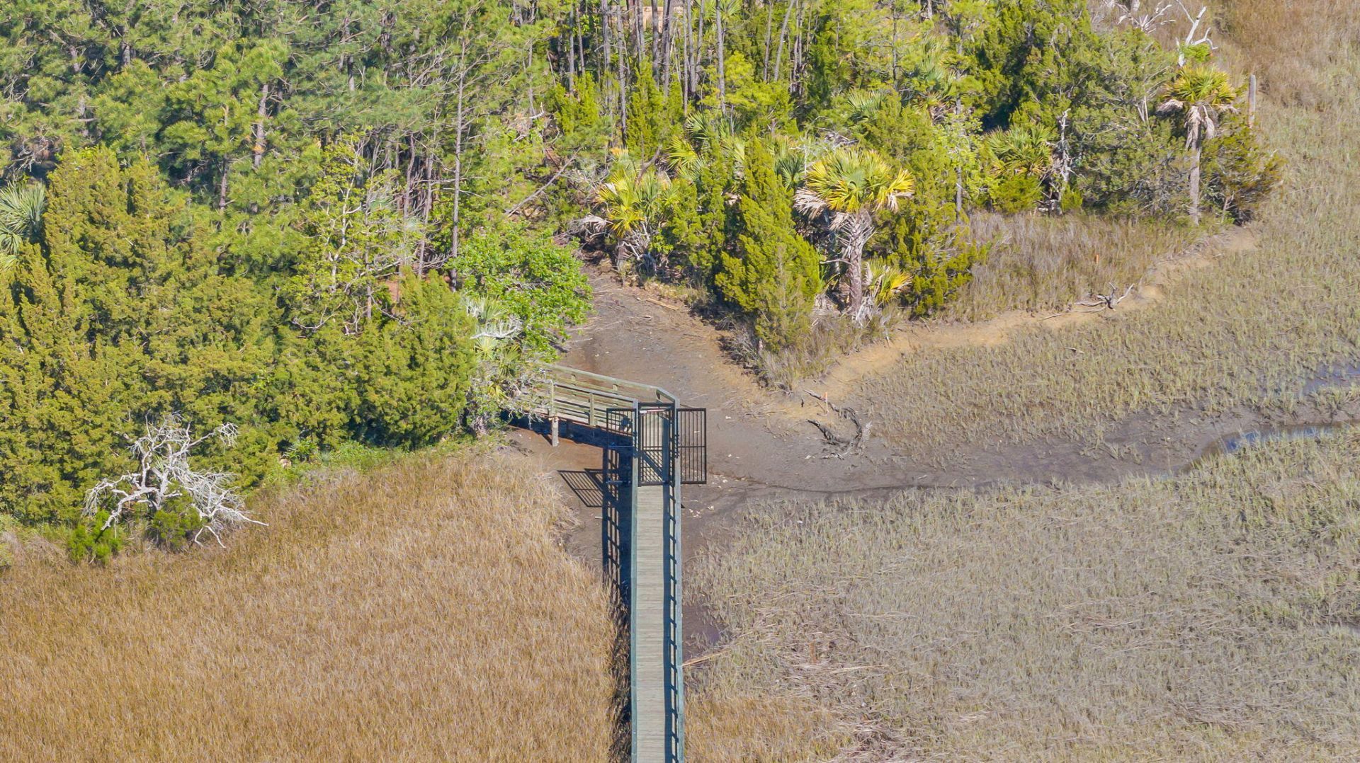 1313 Blue Sky Lane Photo 30