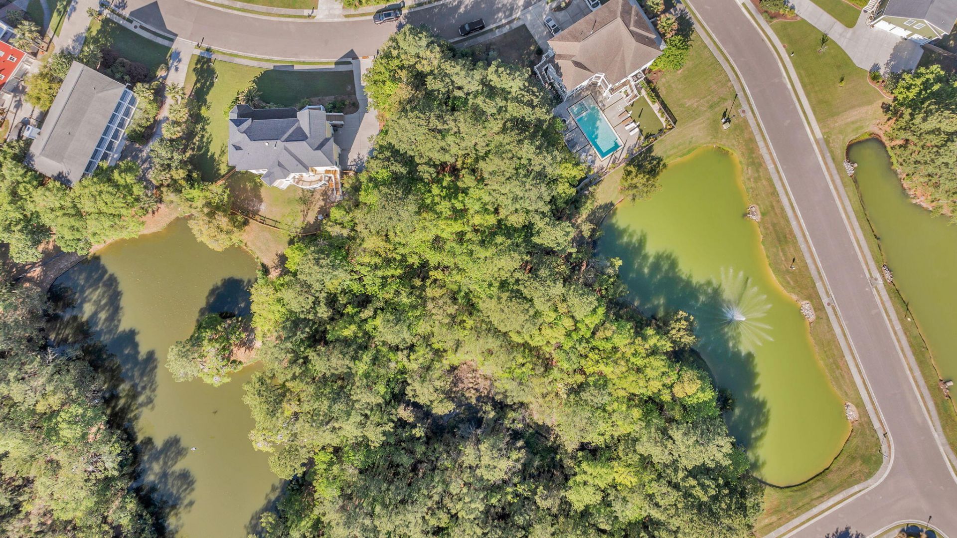 1313 Blue Sky Lane Photo 46