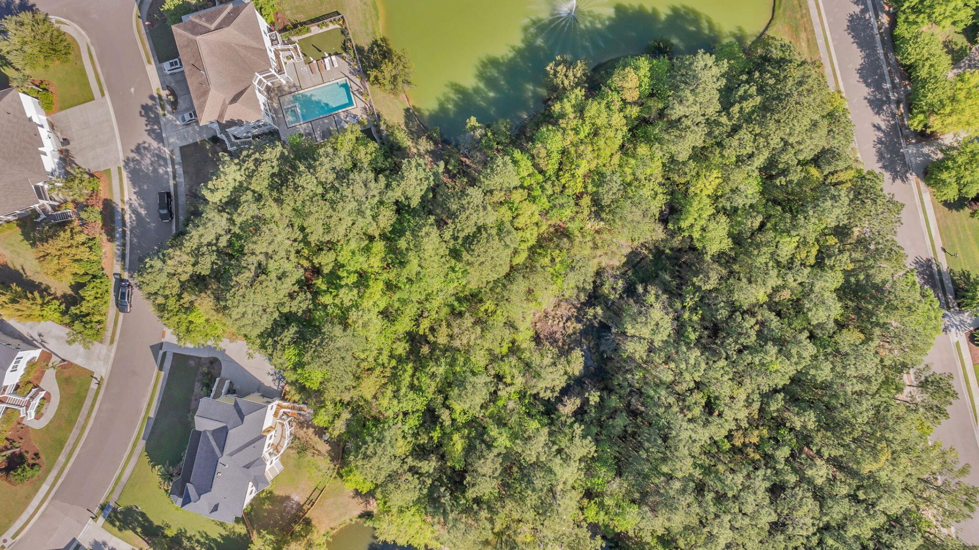 1313 Blue Sky Lane Photo 47