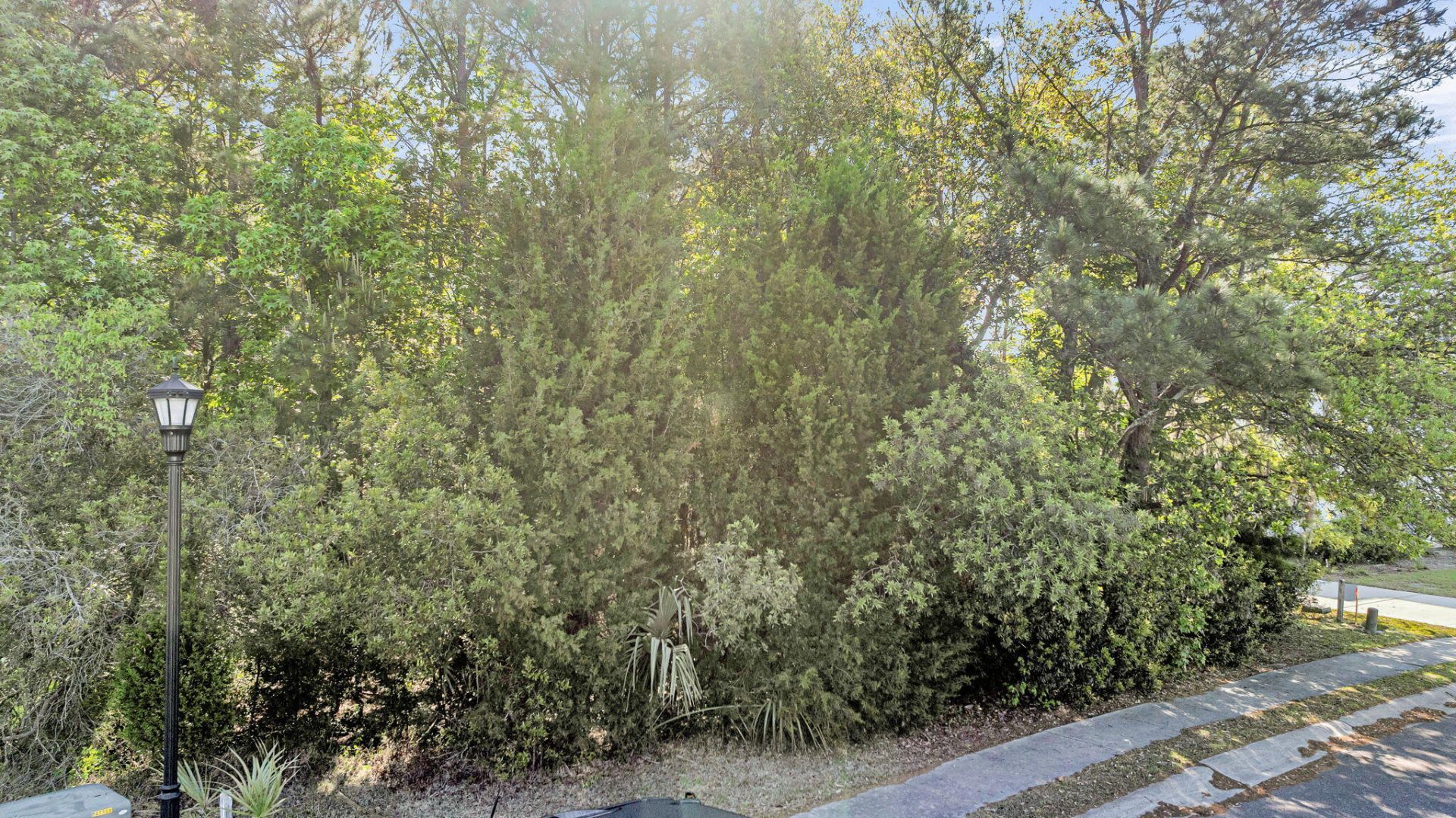 1313 Blue Sky Lane Photo 48