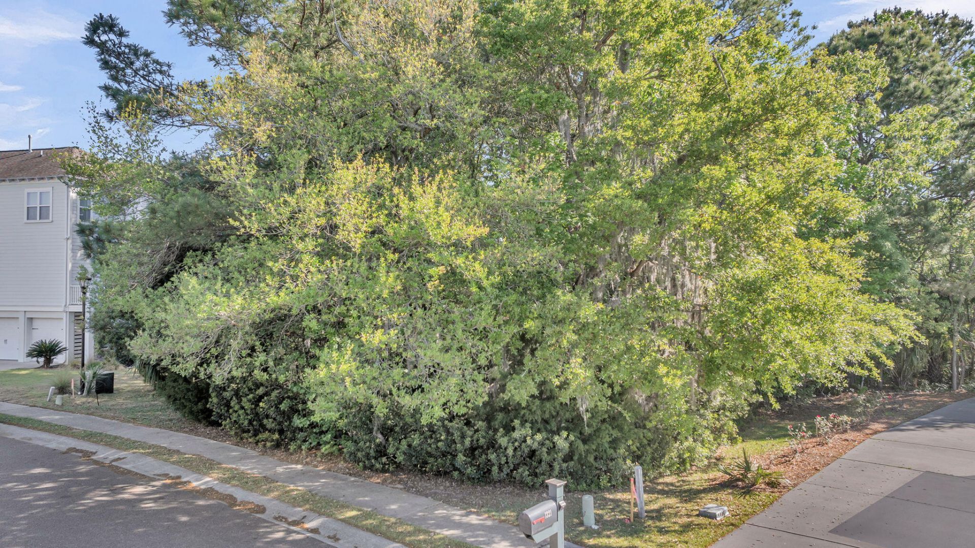 1313 Blue Sky Lane Photo 49