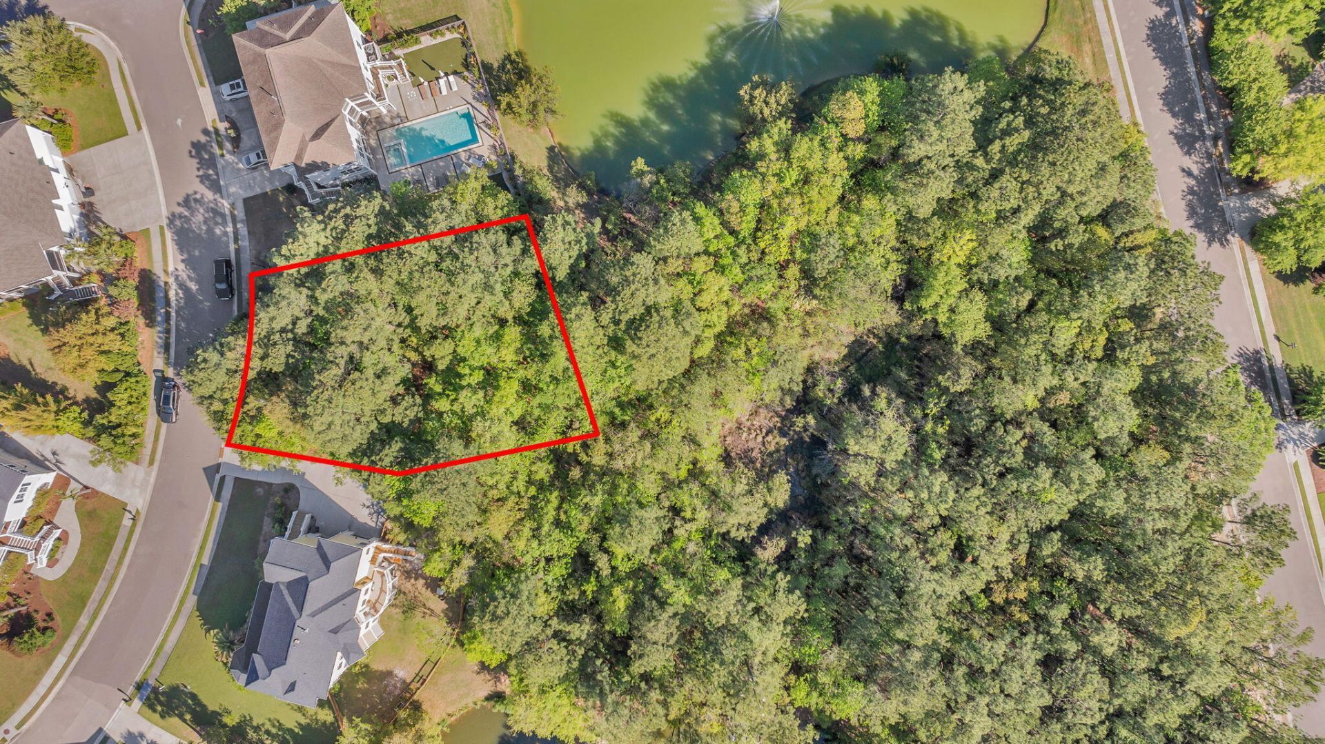 1313 Blue Sky Lane Photo 6