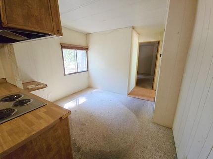 23750 Carson #39, Pioneer, CA 95666 Photo