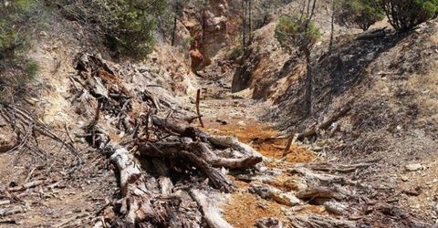 Kilaga Springs Rd, Lincoln, CA 95648 Photo