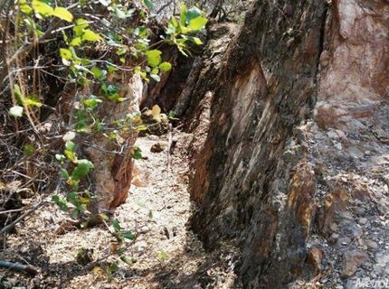 Kilaga Springs Rd, Lincoln, CA 95648 Photo