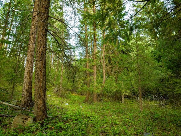 NHN Black Lake Road , Rexford, MT 59930