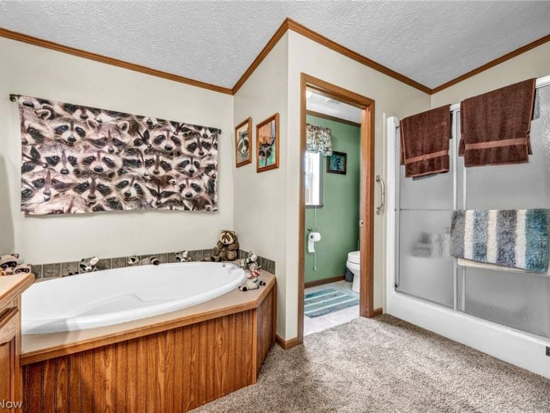 5500 Westbrook Street SE, Sandy, OH 44643 Photo 25