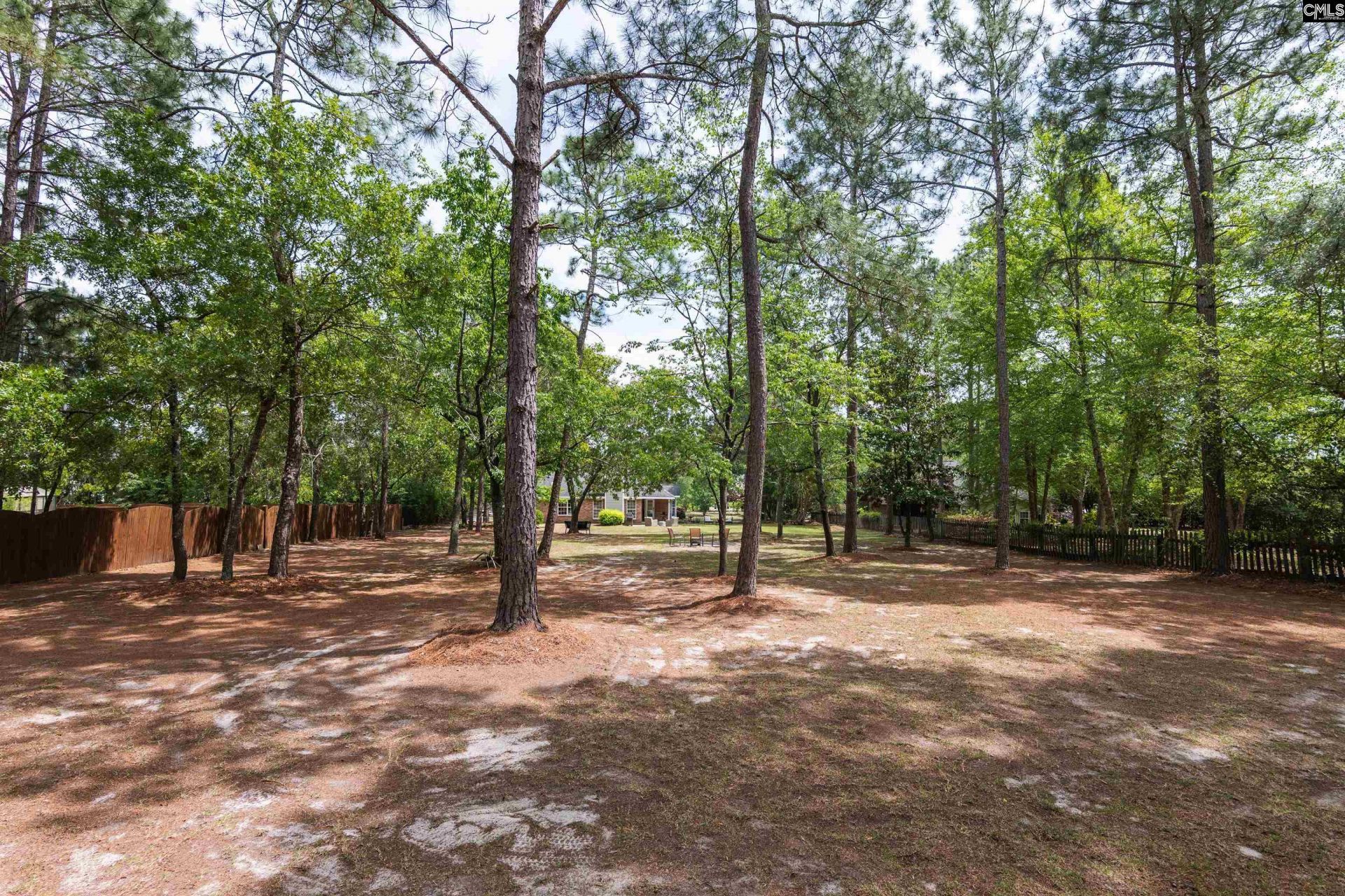 804 Cedar Break Court  Photo 35