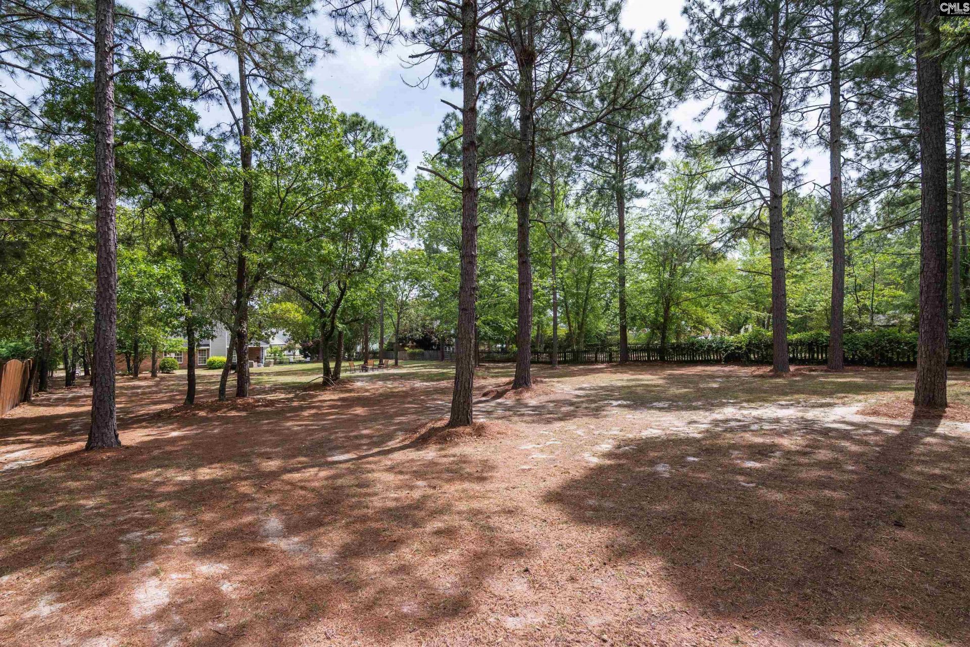 804 Cedar Break Court  Photo 36