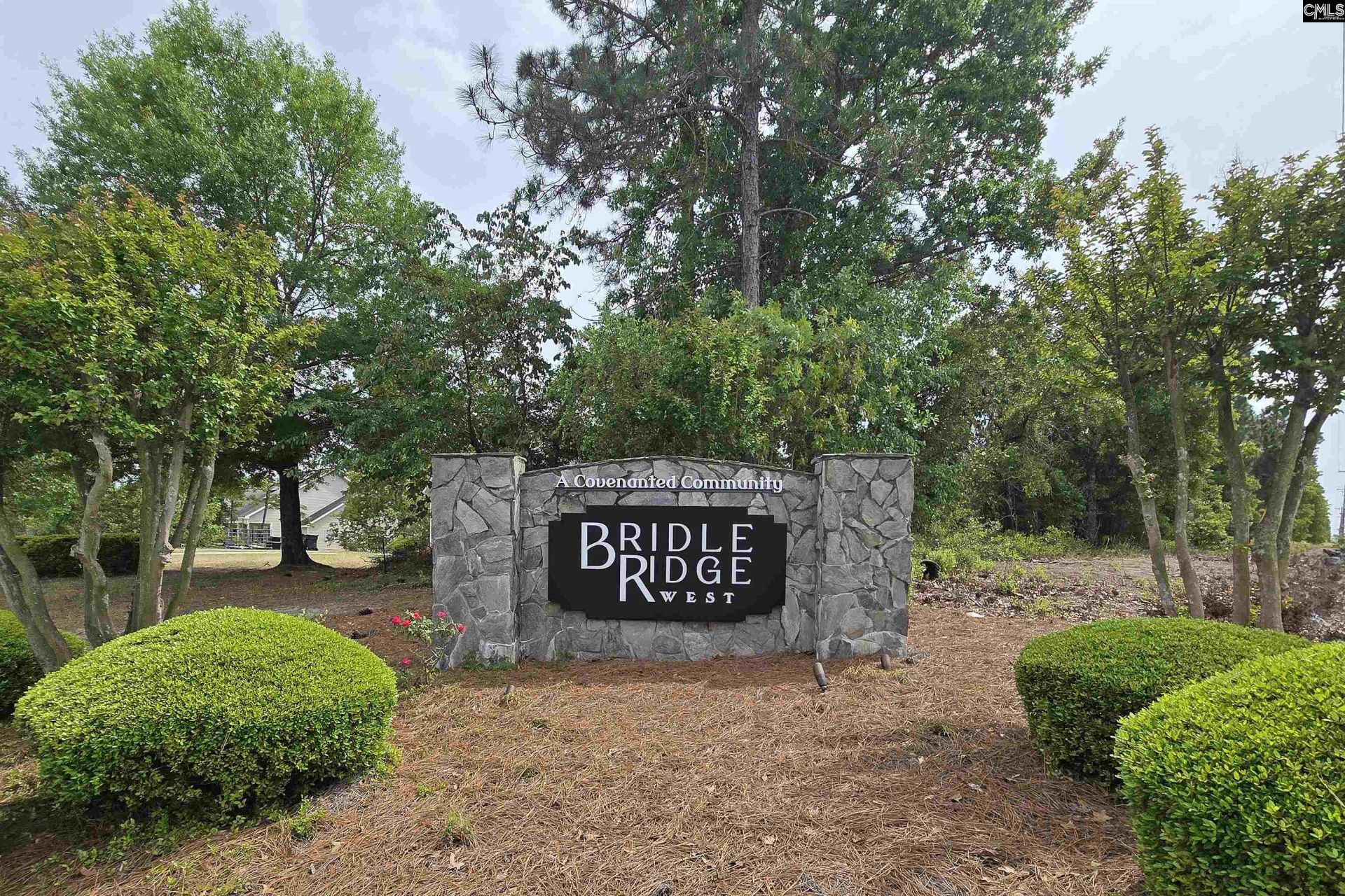 804 Cedar Break Court  Photo 53