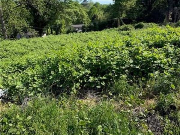 121 McConnell Drive, Gainesville, GA 30501