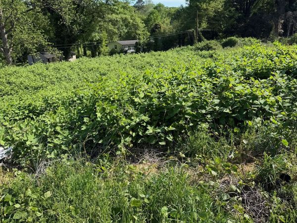 121 McConnell Drive, Gainesville, GA 30501