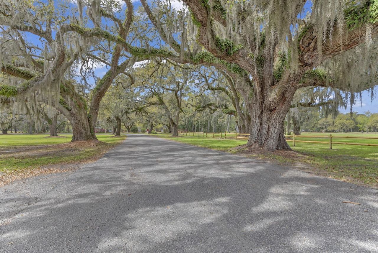 69 Governor Johnston Rd.  Photo 50