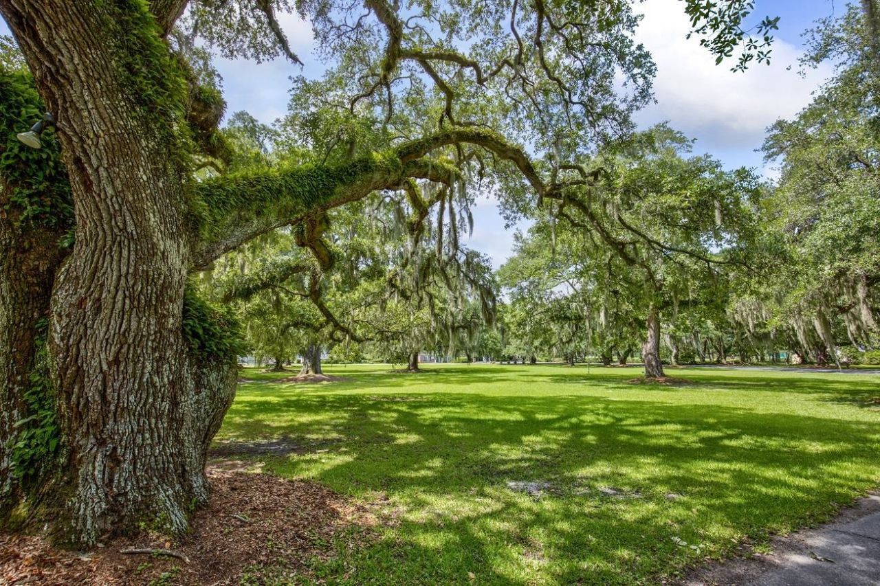 69 Governor Johnston Rd.  Photo 52