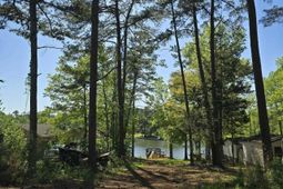 1011 Blacksgate E  photo 4