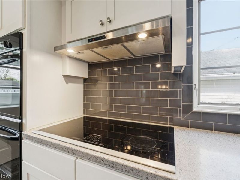 229 Vassar Avenue, Elyria, OH 44035 Photo 11