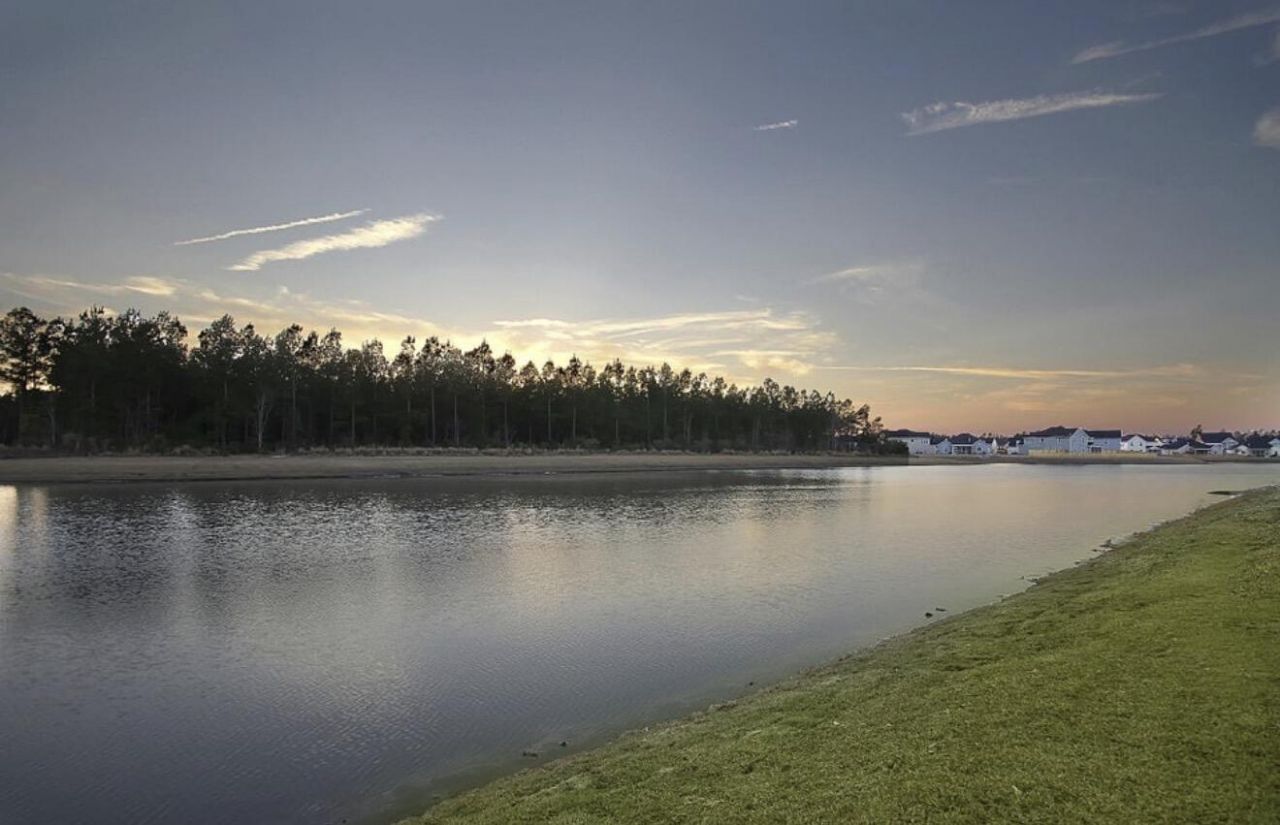 205 Witch Hazel Street Photo 51