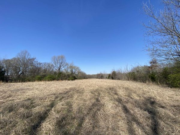 12.79 AC WIRT RD, Oakland, TN 38060