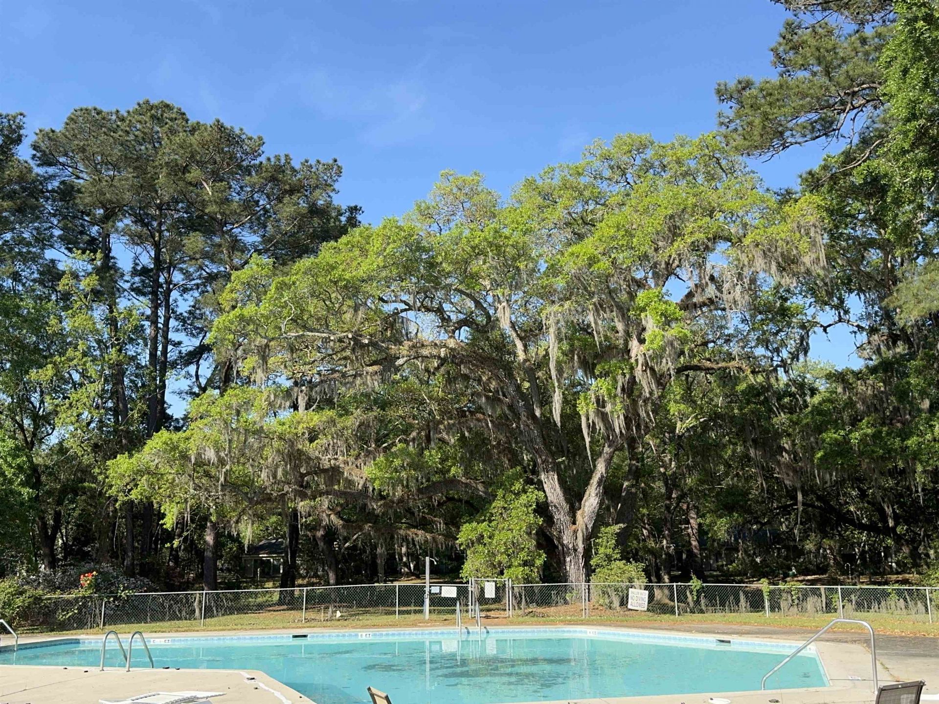 134 Wedgefield Village Rd.  Photo 33