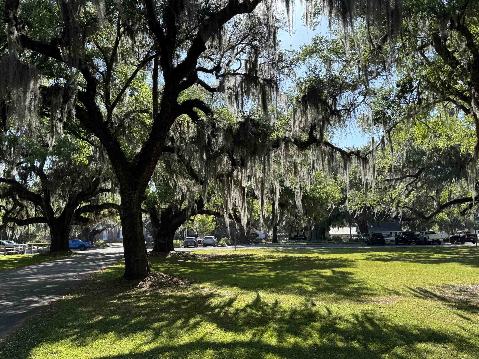 134 Wedgefield Village Rd.  Photo 36