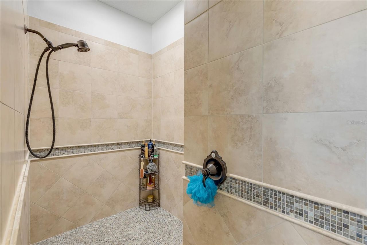 3029 Isola Bella Boulevard, Mount Dora, FL 32757 Photo