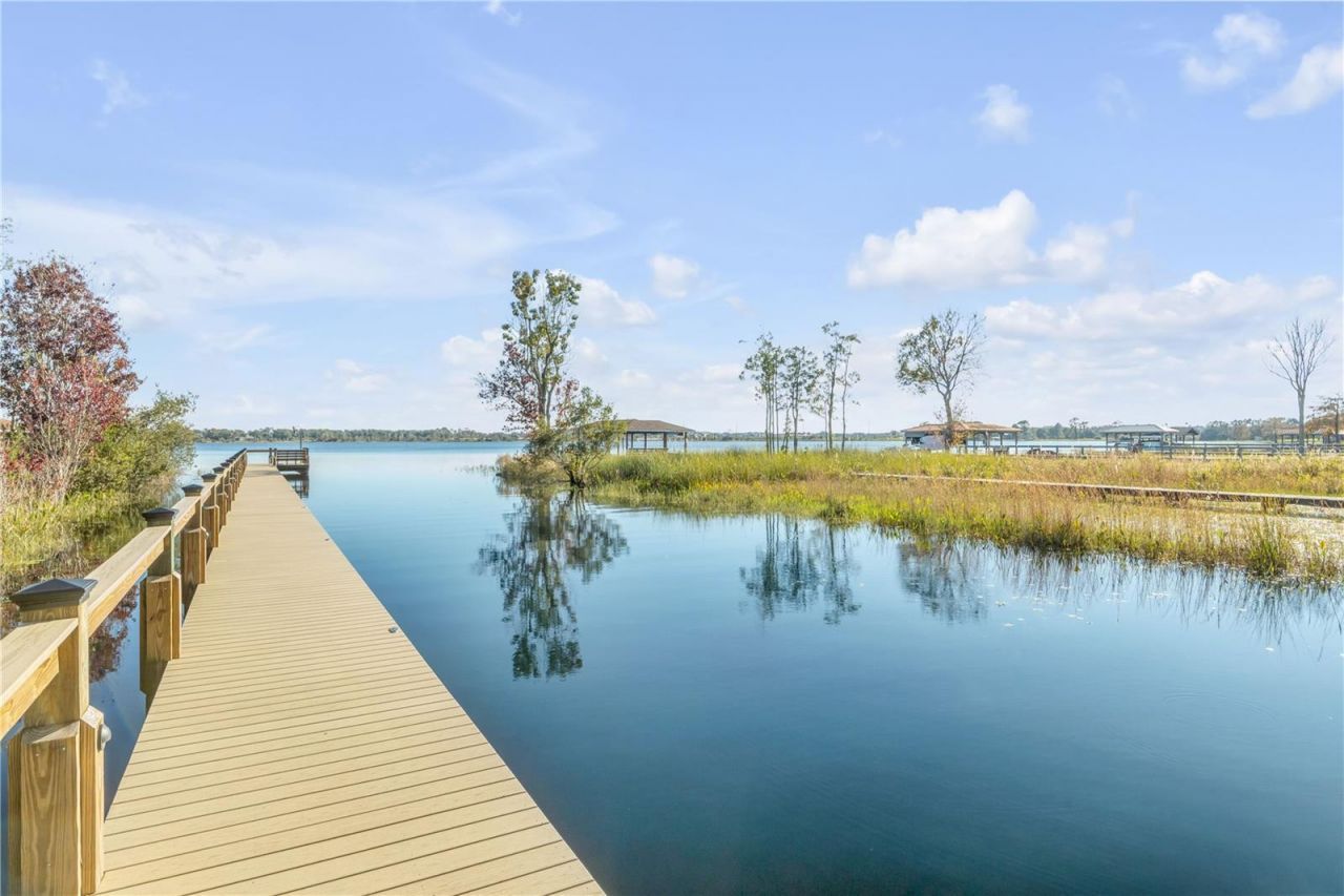 3029 Isola Bella Boulevard, Mount Dora, FL 32757 Photo