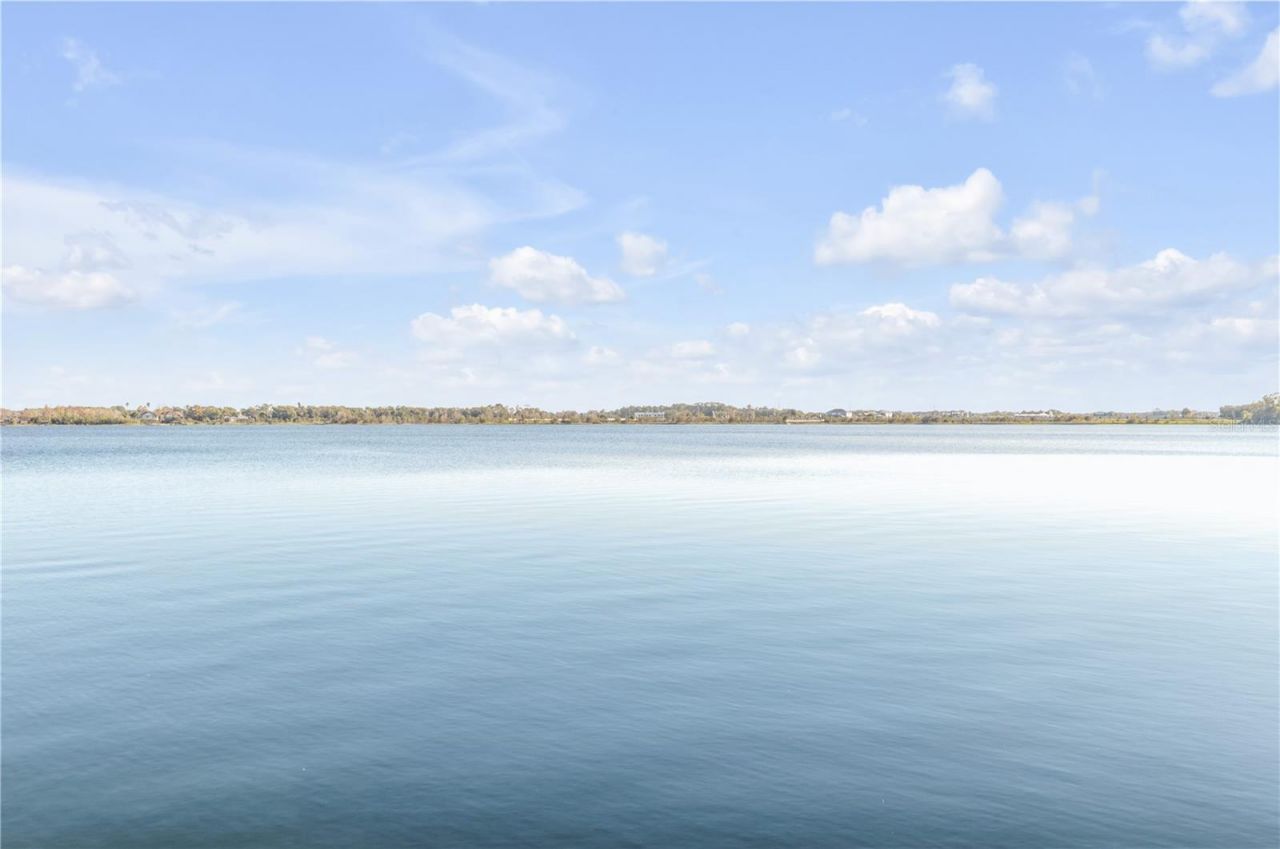 3029 Isola Bella Boulevard, Mount Dora, FL 32757 Photo