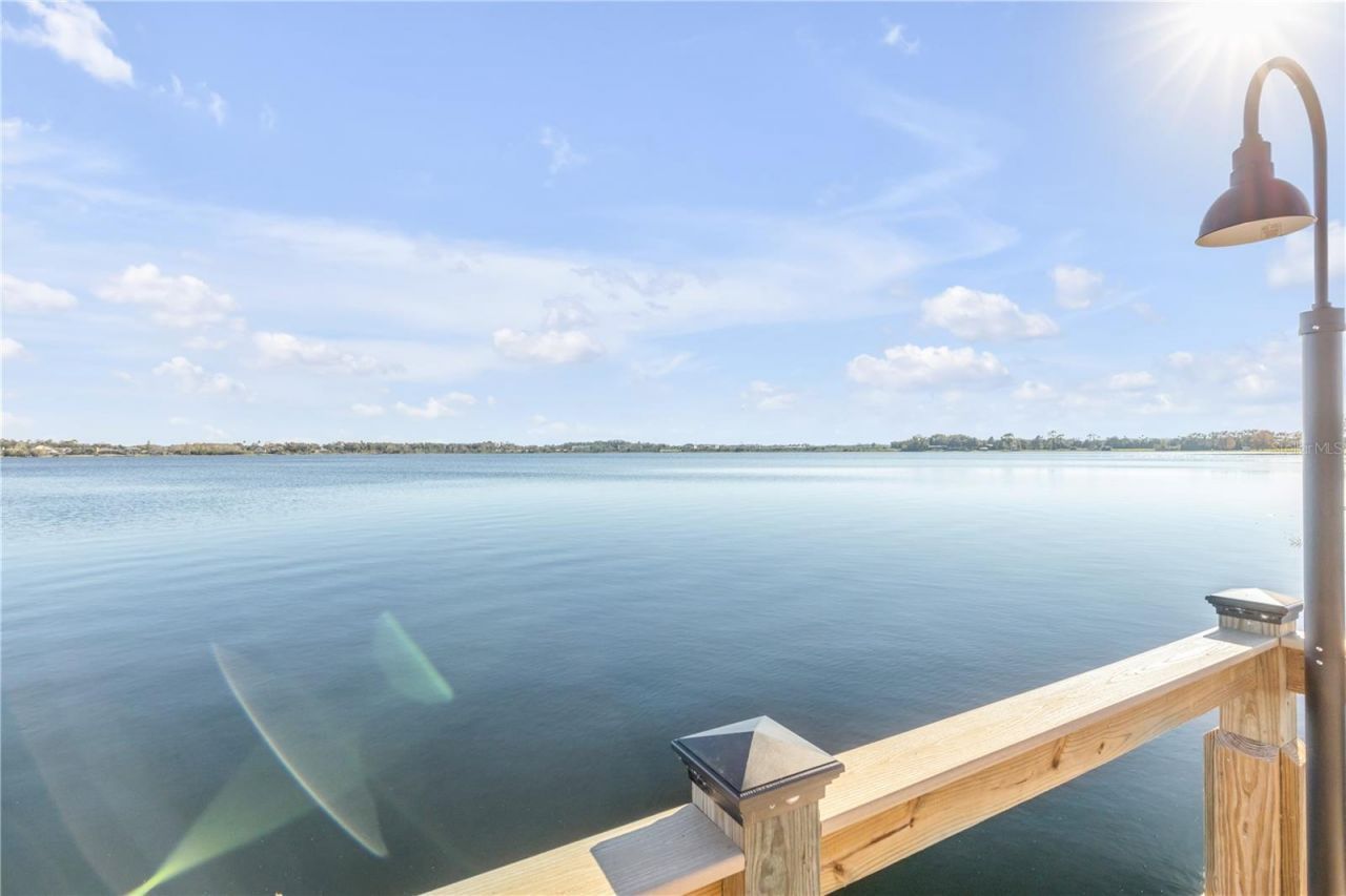3029 Isola Bella Boulevard, Mount Dora, FL 32757 Photo